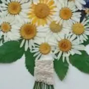 ココ