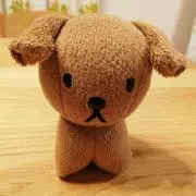 ゆきちの画像