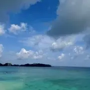 壱の画像