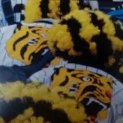 とらとら