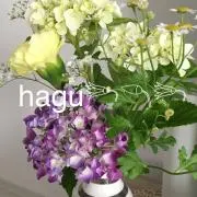 hagu【次回発送6月15日◎】