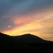 シャラ