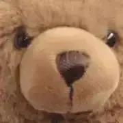 センブリの画像