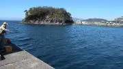 グレ師の画像