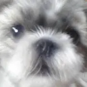 ふみふみ♪の画像
