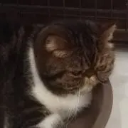 かんかん☆