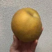 SUNNY20の画像