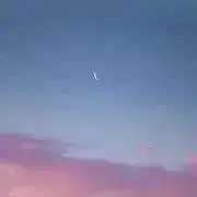 きつねの画像