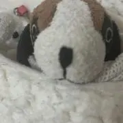 さや