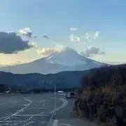 あゆむの画像