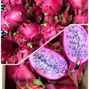 果to 菜Markt GKの画像