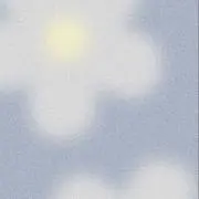 waの画像