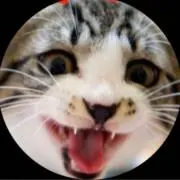 れぎるんの画像