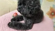 さっちーの画像