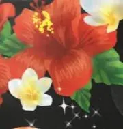 SKYの画像