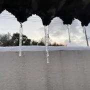 みたけの画像