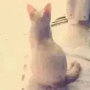 Anywayの画像