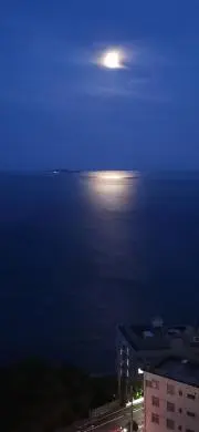 masaの画像