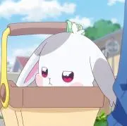 なえ。の画像