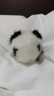 maokongの画像