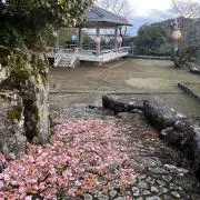 しげもやんの画像