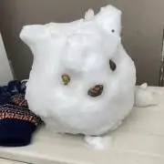 でんの画像