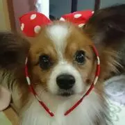 ナオの画像