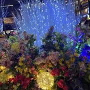 きよなんの画像