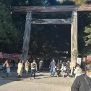 しなちく
