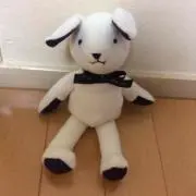 さくらの画像