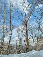 わむら