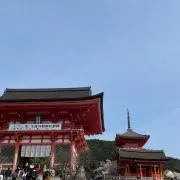 白玉だんごの画像