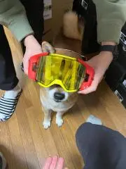 ユカちゃんの画像