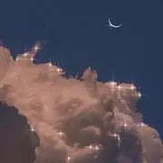 ko_koの画像