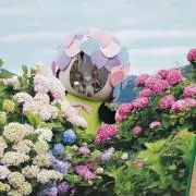川蔵の画像