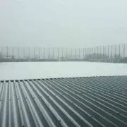 たこ八。の画像