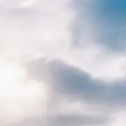 ちゃちゃ