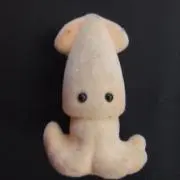 Shimaの画像