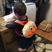 めぐぅの画像