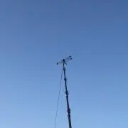 ずんだ餅の画像