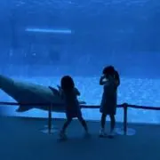 三児のママの画像