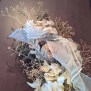 ペリーの画像
