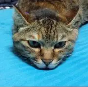 紙ってる
