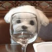 くちぱちの画像