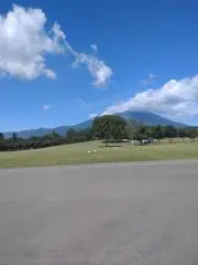 Gyoro_chanの画像