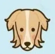 hanechanの画像