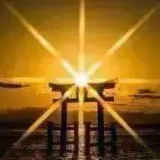 陽香の画像