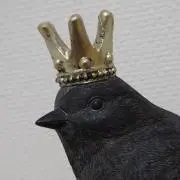 ひらの