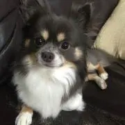 まさ