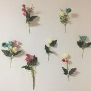 カーの画像